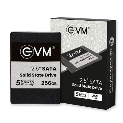 EVM SATA SSD (Solid State Drive) 256GB