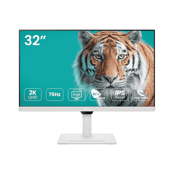 BenQ GW3290QT 32 Inch QHD Ergo Arm IPS Monitor (GW3290QT)